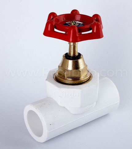 شیر فلکه آذین