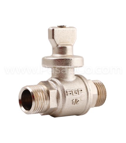 شیر شبکه دو سر روپیچ